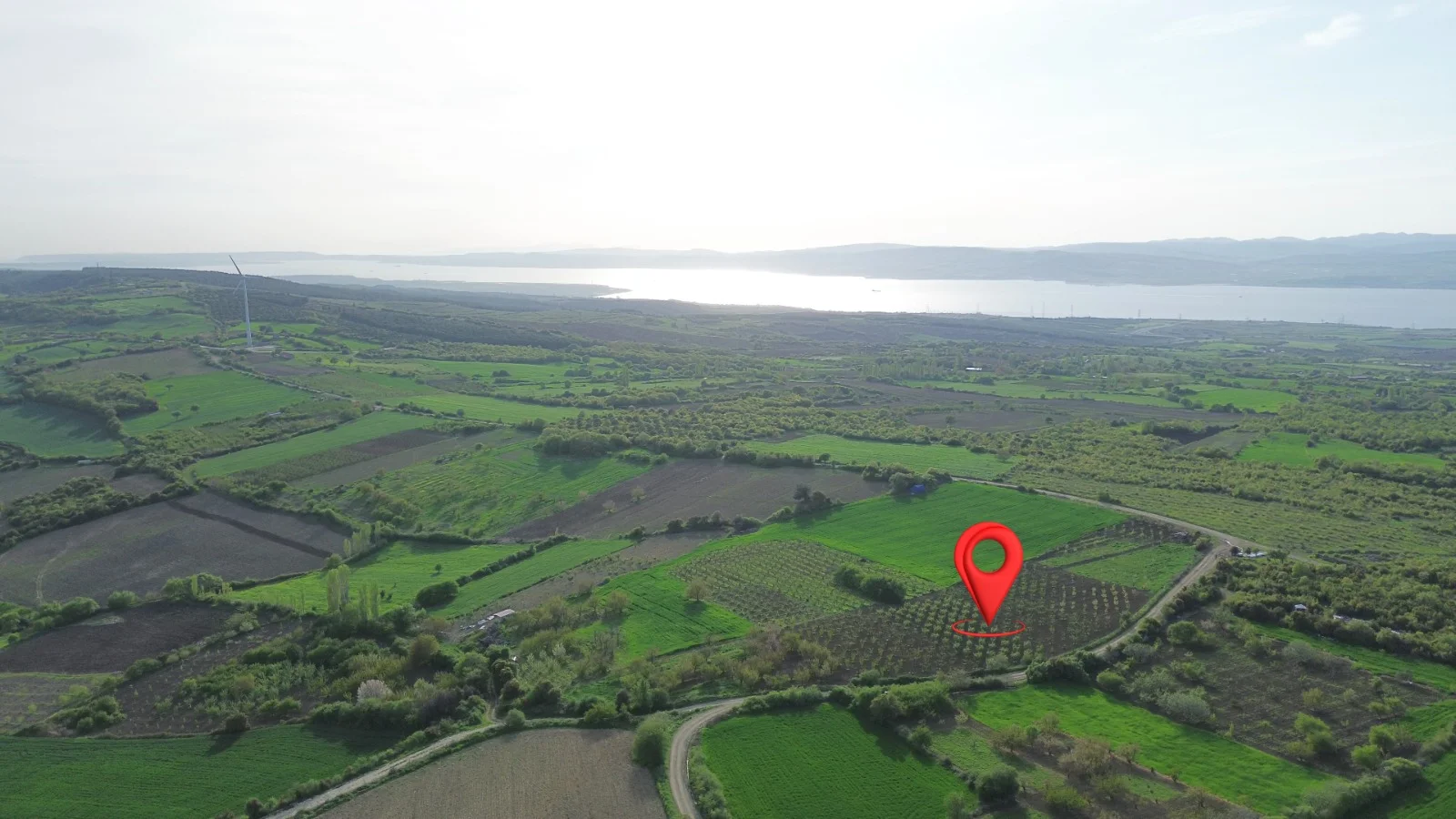 Çanakkale Lapseki İlyasköy'de Boğaz Manzaralı 14.275 m² Satılık Meyve Bahçesi