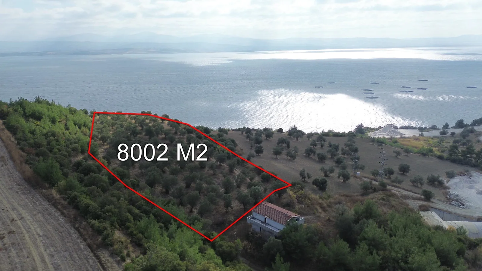 Çanakkale Gelibolu Cennetkoy'de Panoramik Boğaz Manzaralı 8.002 m² Satılık Zeytinlik