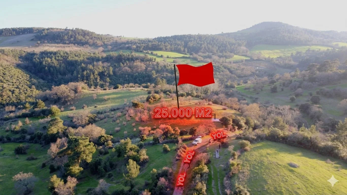 Çanakkale Lapseki Yaylalar Köyü'nde 25.000 m² Satılık Tarla